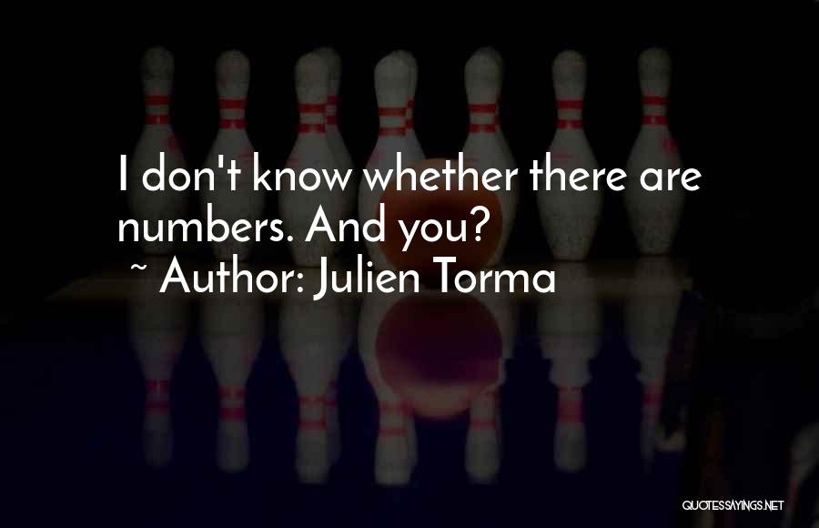 Julien Torma Quotes: I Don't Know Whether There Are Numbers. And You?