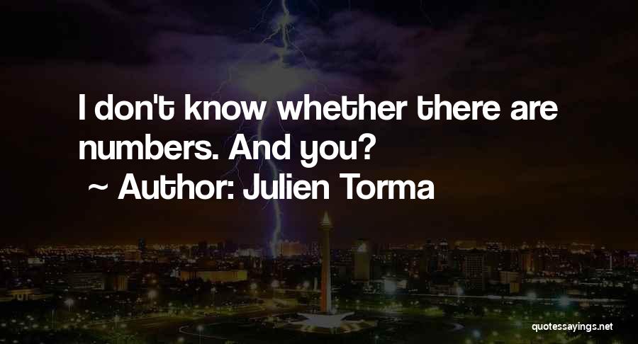 Julien Torma Quotes: I Don't Know Whether There Are Numbers. And You?