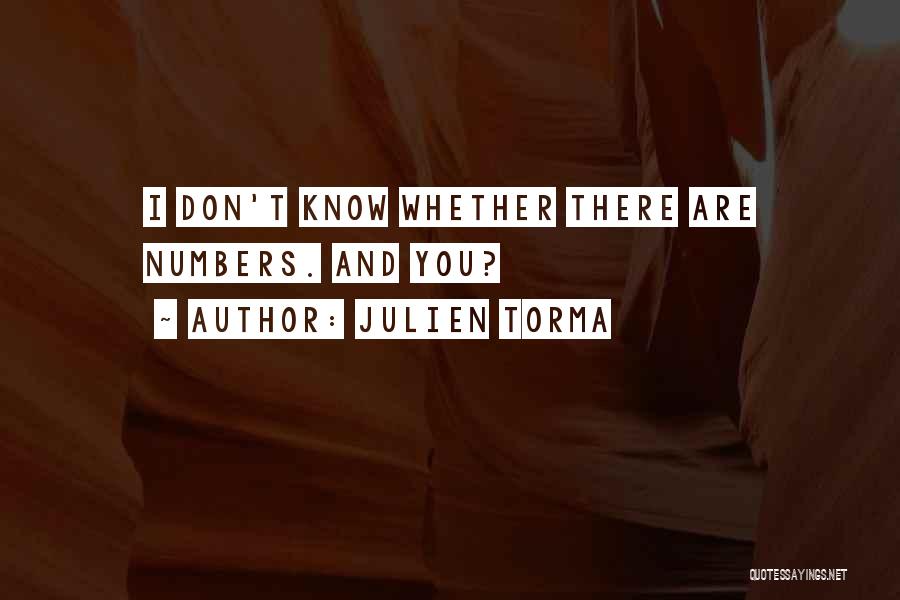 Julien Torma Quotes: I Don't Know Whether There Are Numbers. And You?