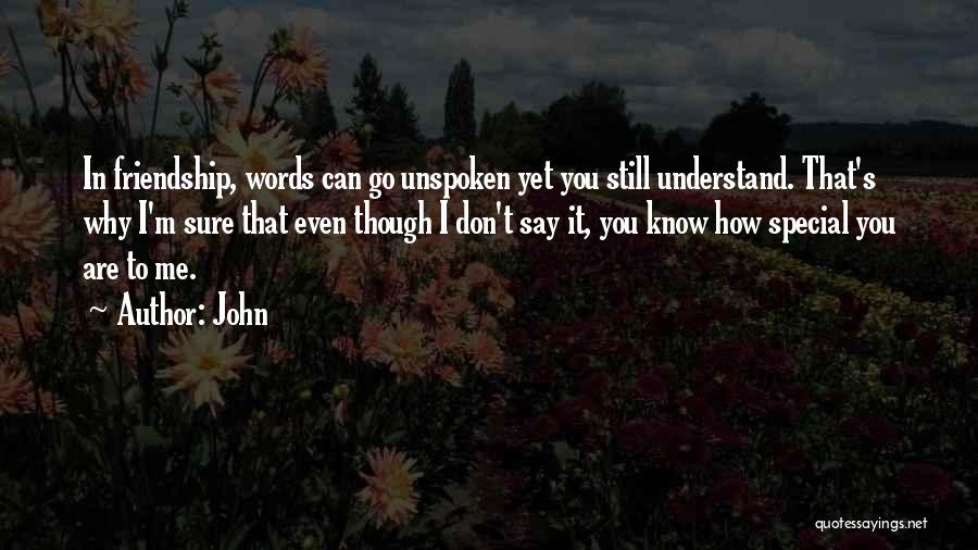 John Quotes: In Friendship, Words Can Go Unspoken Yet You Still Understand. That's Why I'm Sure That Even Though I Don't Say
