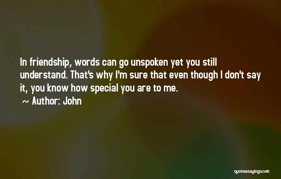 John Quotes: In Friendship, Words Can Go Unspoken Yet You Still Understand. That's Why I'm Sure That Even Though I Don't Say