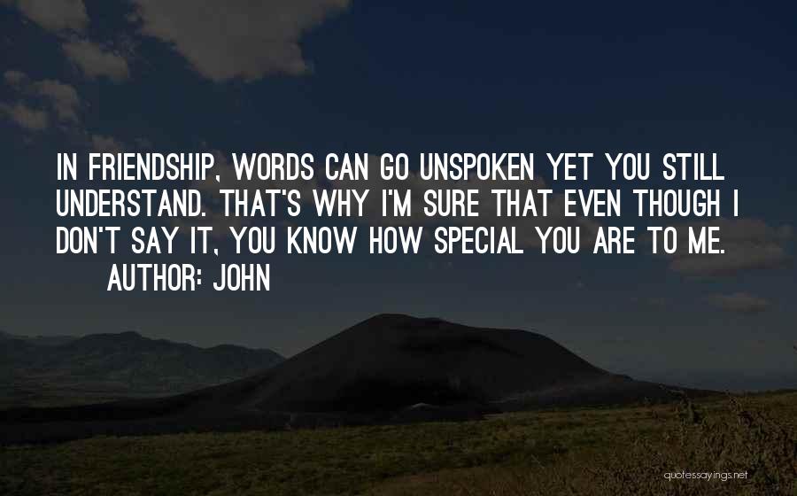 John Quotes: In Friendship, Words Can Go Unspoken Yet You Still Understand. That's Why I'm Sure That Even Though I Don't Say
