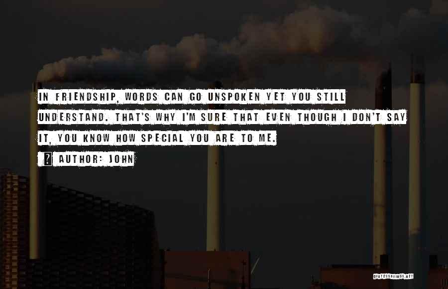 John Quotes: In Friendship, Words Can Go Unspoken Yet You Still Understand. That's Why I'm Sure That Even Though I Don't Say