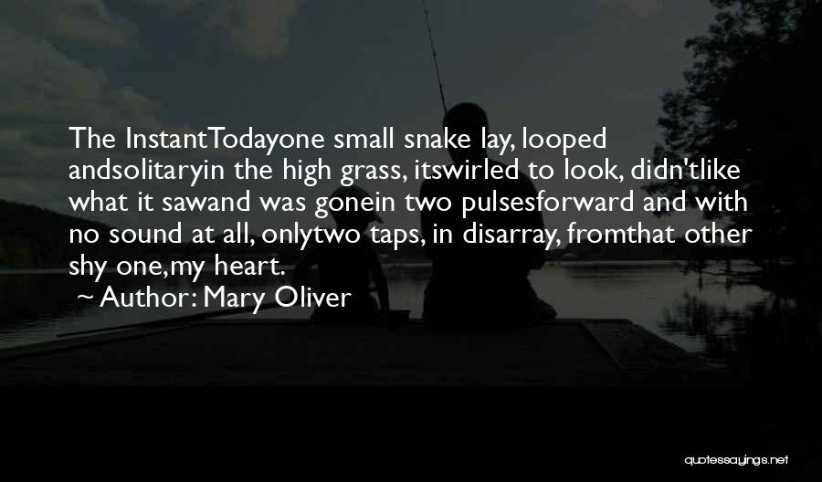 Mary Oliver Quotes: The Instanttodayone Small Snake Lay, Looped Andsolitaryin The High Grass, Itswirled To Look, Didn'tlike What It Sawand Was Gonein Two