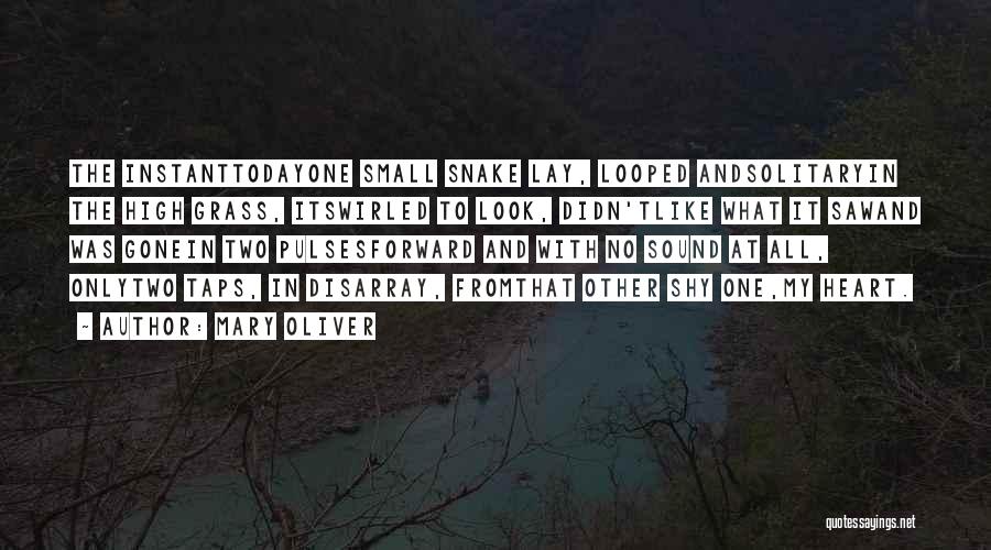 Mary Oliver Quotes: The Instanttodayone Small Snake Lay, Looped Andsolitaryin The High Grass, Itswirled To Look, Didn'tlike What It Sawand Was Gonein Two