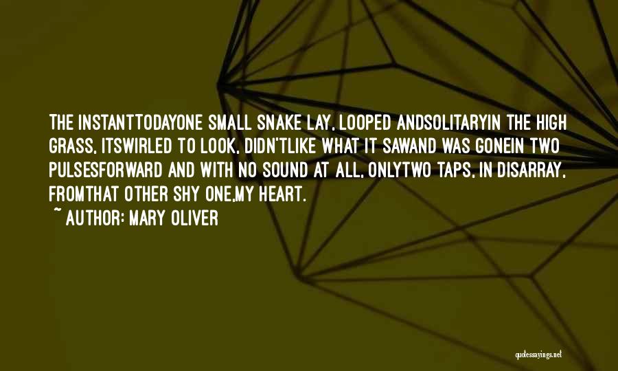 Mary Oliver Quotes: The Instanttodayone Small Snake Lay, Looped Andsolitaryin The High Grass, Itswirled To Look, Didn'tlike What It Sawand Was Gonein Two