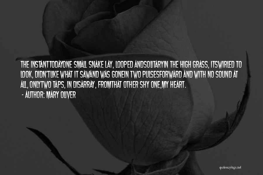 Mary Oliver Quotes: The Instanttodayone Small Snake Lay, Looped Andsolitaryin The High Grass, Itswirled To Look, Didn'tlike What It Sawand Was Gonein Two