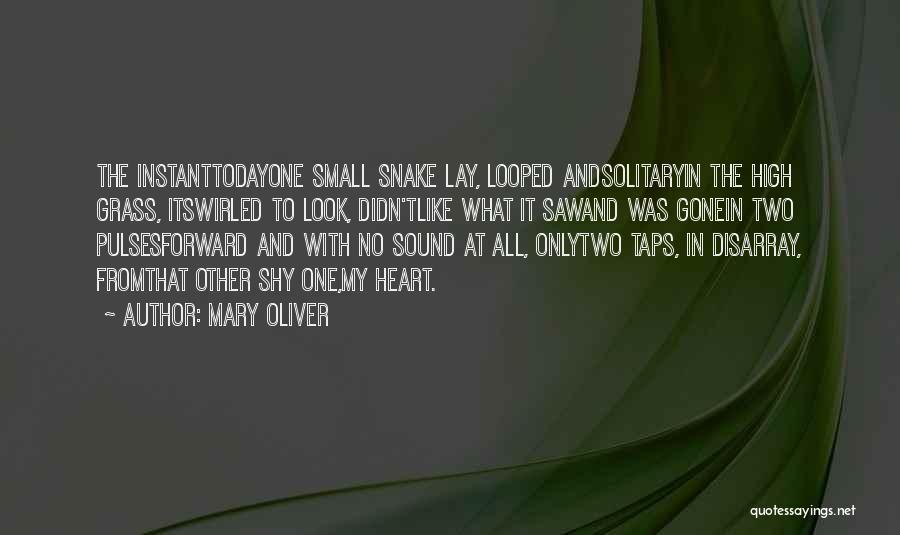 Mary Oliver Quotes: The Instanttodayone Small Snake Lay, Looped Andsolitaryin The High Grass, Itswirled To Look, Didn'tlike What It Sawand Was Gonein Two