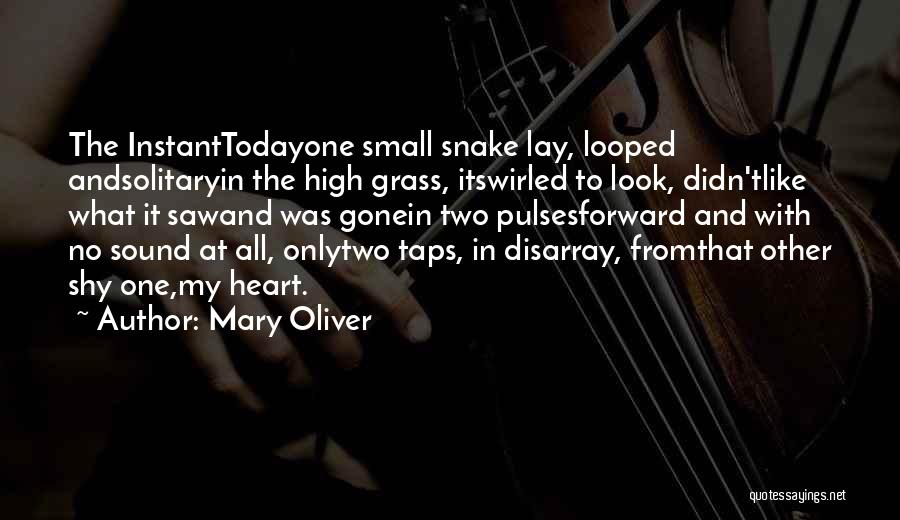 Mary Oliver Quotes: The Instanttodayone Small Snake Lay, Looped Andsolitaryin The High Grass, Itswirled To Look, Didn'tlike What It Sawand Was Gonein Two