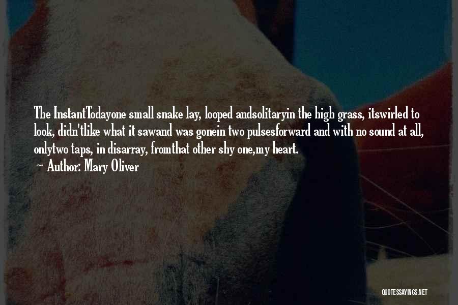 Mary Oliver Quotes: The Instanttodayone Small Snake Lay, Looped Andsolitaryin The High Grass, Itswirled To Look, Didn'tlike What It Sawand Was Gonein Two
