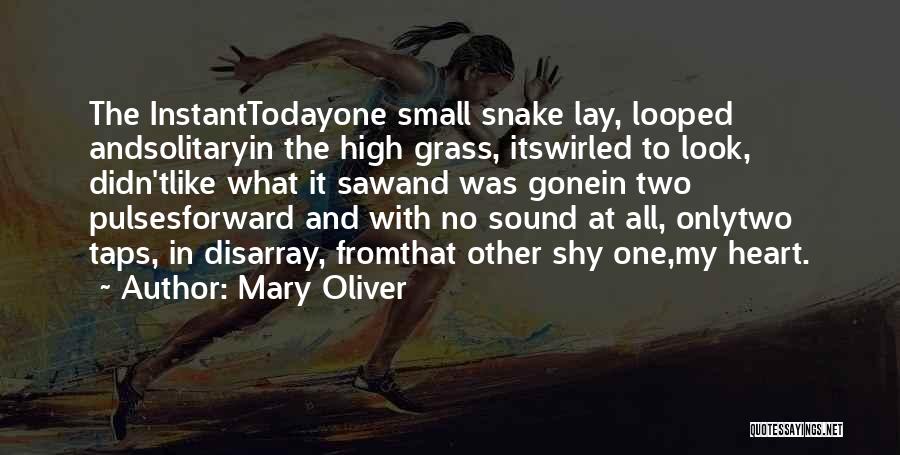 Mary Oliver Quotes: The Instanttodayone Small Snake Lay, Looped Andsolitaryin The High Grass, Itswirled To Look, Didn'tlike What It Sawand Was Gonein Two