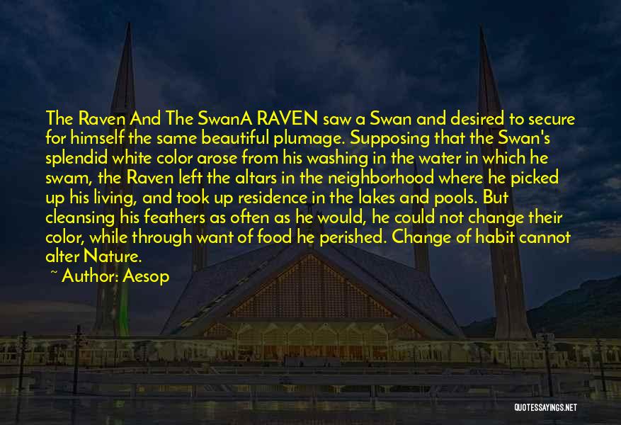 Aesop Quotes: The Raven And The Swana Raven Saw A Swan And Desired To Secure For Himself The Same Beautiful Plumage. Supposing