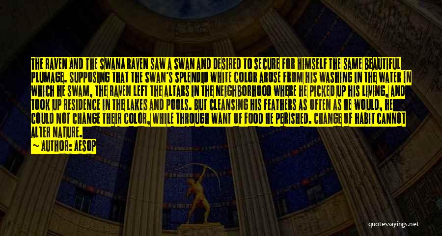 Aesop Quotes: The Raven And The Swana Raven Saw A Swan And Desired To Secure For Himself The Same Beautiful Plumage. Supposing