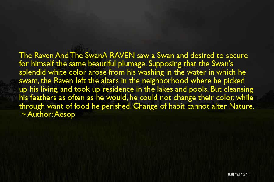 Aesop Quotes: The Raven And The Swana Raven Saw A Swan And Desired To Secure For Himself The Same Beautiful Plumage. Supposing