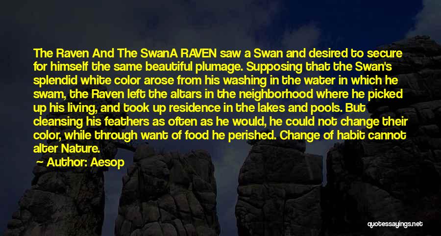 Aesop Quotes: The Raven And The Swana Raven Saw A Swan And Desired To Secure For Himself The Same Beautiful Plumage. Supposing