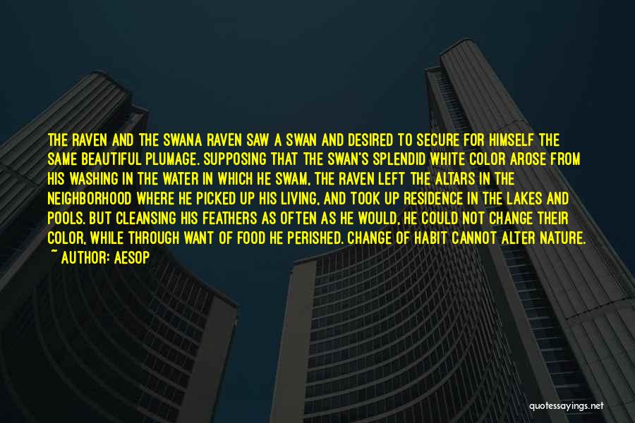 Aesop Quotes: The Raven And The Swana Raven Saw A Swan And Desired To Secure For Himself The Same Beautiful Plumage. Supposing