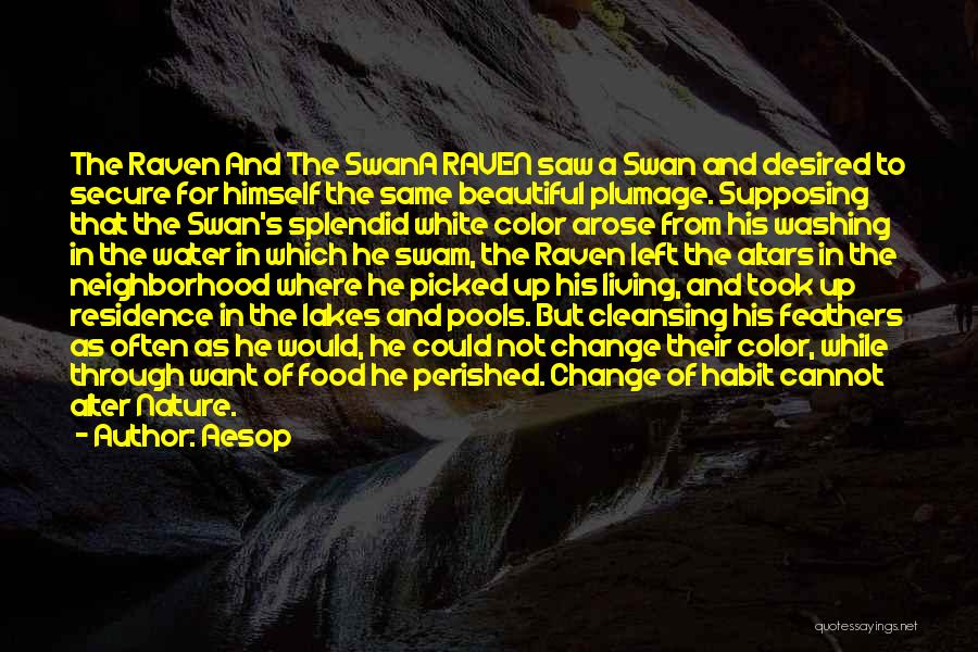 Aesop Quotes: The Raven And The Swana Raven Saw A Swan And Desired To Secure For Himself The Same Beautiful Plumage. Supposing