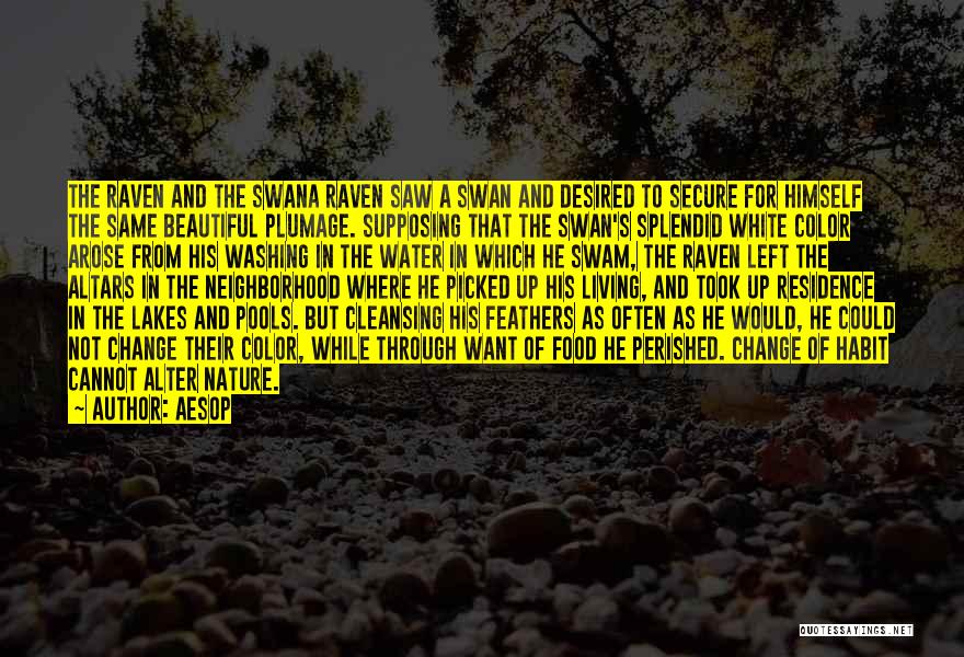 Aesop Quotes: The Raven And The Swana Raven Saw A Swan And Desired To Secure For Himself The Same Beautiful Plumage. Supposing