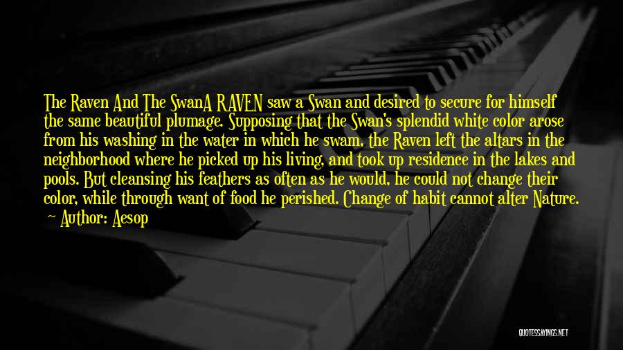 Aesop Quotes: The Raven And The Swana Raven Saw A Swan And Desired To Secure For Himself The Same Beautiful Plumage. Supposing