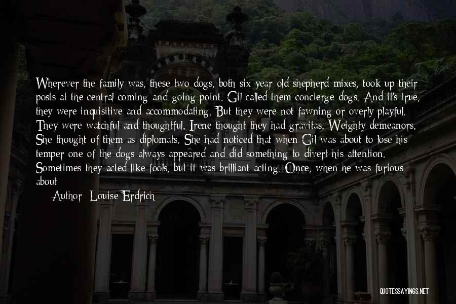 Louise Erdrich Quotes: Wherever The Family Was, These Two Dogs, Both Six-year-old Shepherd Mixes, Took Up Their Posts At The Central Coming-and-going Point.