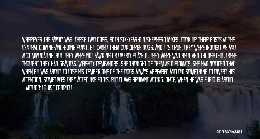 Louise Erdrich Quotes: Wherever The Family Was, These Two Dogs, Both Six-year-old Shepherd Mixes, Took Up Their Posts At The Central Coming-and-going Point.