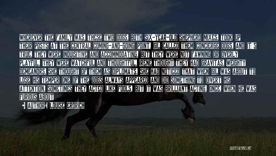 Louise Erdrich Quotes: Wherever The Family Was, These Two Dogs, Both Six-year-old Shepherd Mixes, Took Up Their Posts At The Central Coming-and-going Point.