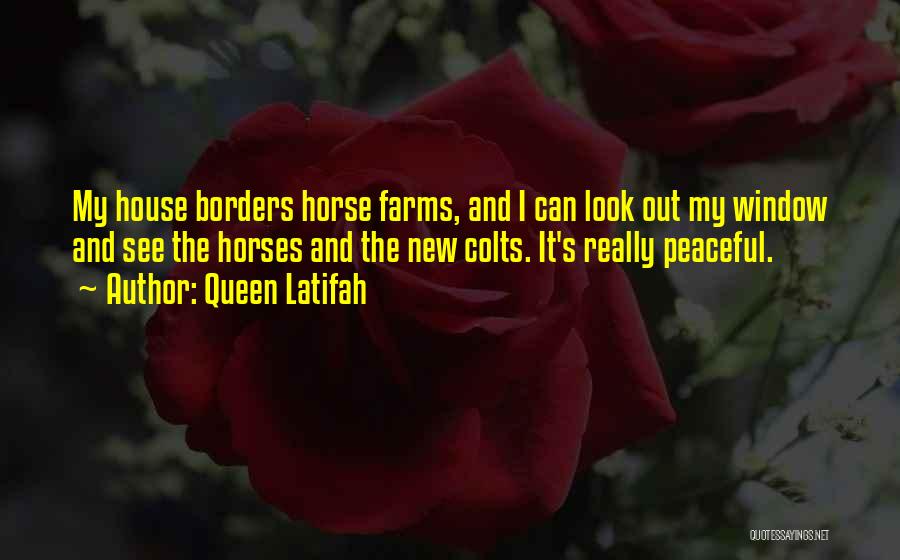 Queen Latifah Quotes: My House Borders Horse Farms, And I Can Look Out My Window And See The Horses And The New Colts.