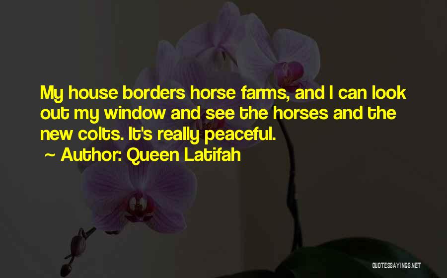 Queen Latifah Quotes: My House Borders Horse Farms, And I Can Look Out My Window And See The Horses And The New Colts.