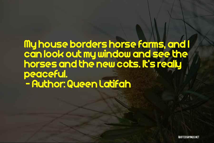 Queen Latifah Quotes: My House Borders Horse Farms, And I Can Look Out My Window And See The Horses And The New Colts.