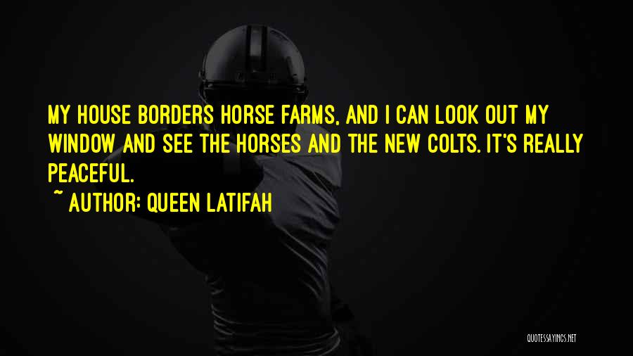 Queen Latifah Quotes: My House Borders Horse Farms, And I Can Look Out My Window And See The Horses And The New Colts.