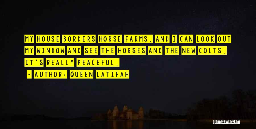 Queen Latifah Quotes: My House Borders Horse Farms, And I Can Look Out My Window And See The Horses And The New Colts.