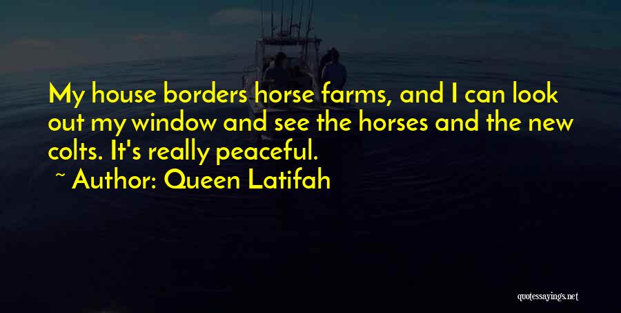 Queen Latifah Quotes: My House Borders Horse Farms, And I Can Look Out My Window And See The Horses And The New Colts.