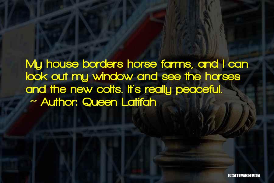 Queen Latifah Quotes: My House Borders Horse Farms, And I Can Look Out My Window And See The Horses And The New Colts.