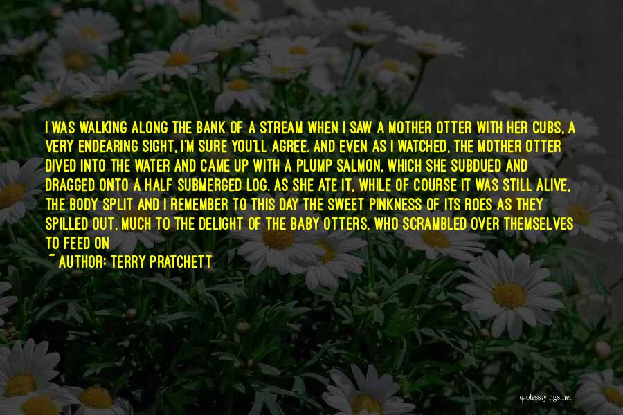 Terry Pratchett Quotes: I Was Walking Along The Bank Of A Stream When I Saw A Mother Otter With Her Cubs, A Very