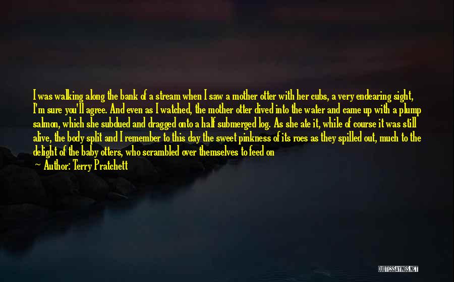 Terry Pratchett Quotes: I Was Walking Along The Bank Of A Stream When I Saw A Mother Otter With Her Cubs, A Very