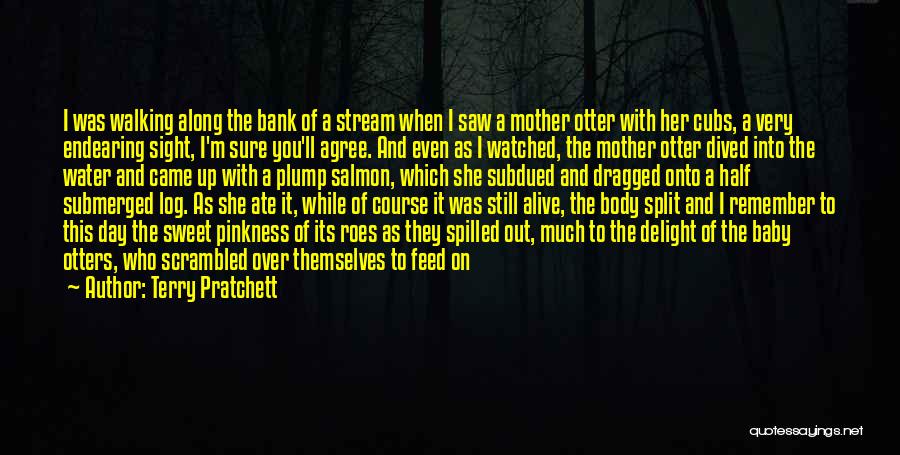 Terry Pratchett Quotes: I Was Walking Along The Bank Of A Stream When I Saw A Mother Otter With Her Cubs, A Very