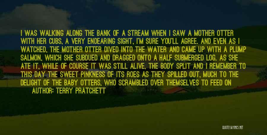 Terry Pratchett Quotes: I Was Walking Along The Bank Of A Stream When I Saw A Mother Otter With Her Cubs, A Very