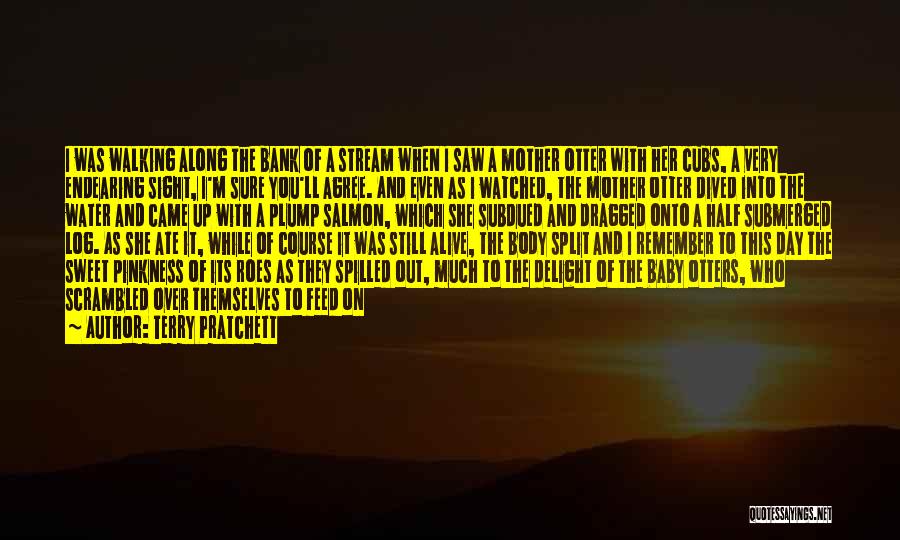Terry Pratchett Quotes: I Was Walking Along The Bank Of A Stream When I Saw A Mother Otter With Her Cubs, A Very