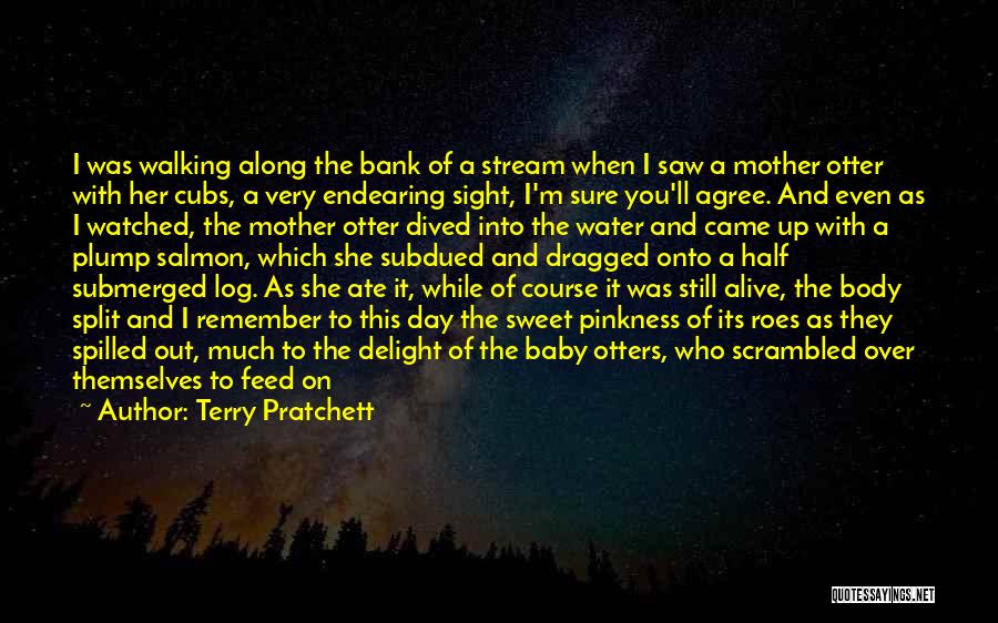 Terry Pratchett Quotes: I Was Walking Along The Bank Of A Stream When I Saw A Mother Otter With Her Cubs, A Very