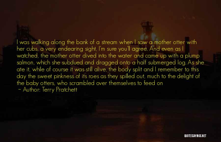 Terry Pratchett Quotes: I Was Walking Along The Bank Of A Stream When I Saw A Mother Otter With Her Cubs, A Very