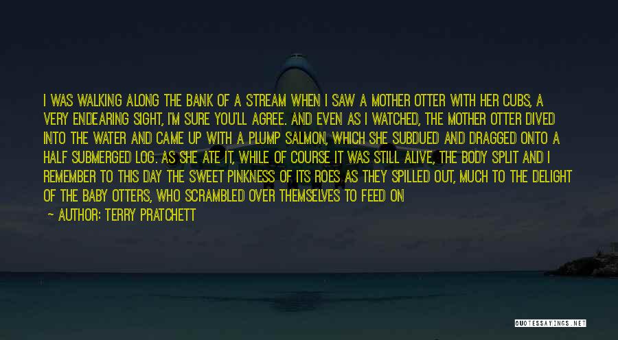 Terry Pratchett Quotes: I Was Walking Along The Bank Of A Stream When I Saw A Mother Otter With Her Cubs, A Very