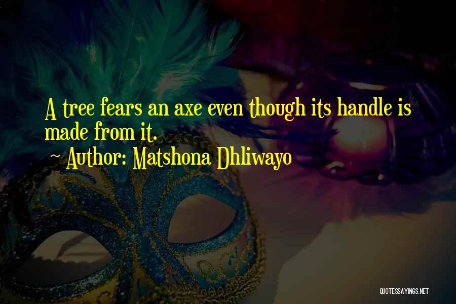 Matshona Dhliwayo Quotes: A Tree Fears An Axe Even Though Its Handle Is Made From It.