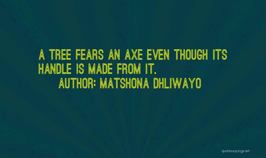 Matshona Dhliwayo Quotes: A Tree Fears An Axe Even Though Its Handle Is Made From It.