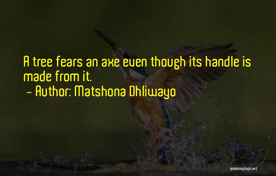 Matshona Dhliwayo Quotes: A Tree Fears An Axe Even Though Its Handle Is Made From It.