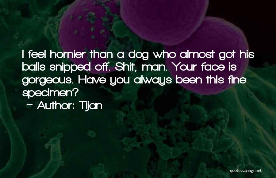 Tijan Quotes: I Feel Hornier Than A Dog Who Almost Got His Balls Snipped Off. Shit, Man. Your Face Is Gorgeous. Have