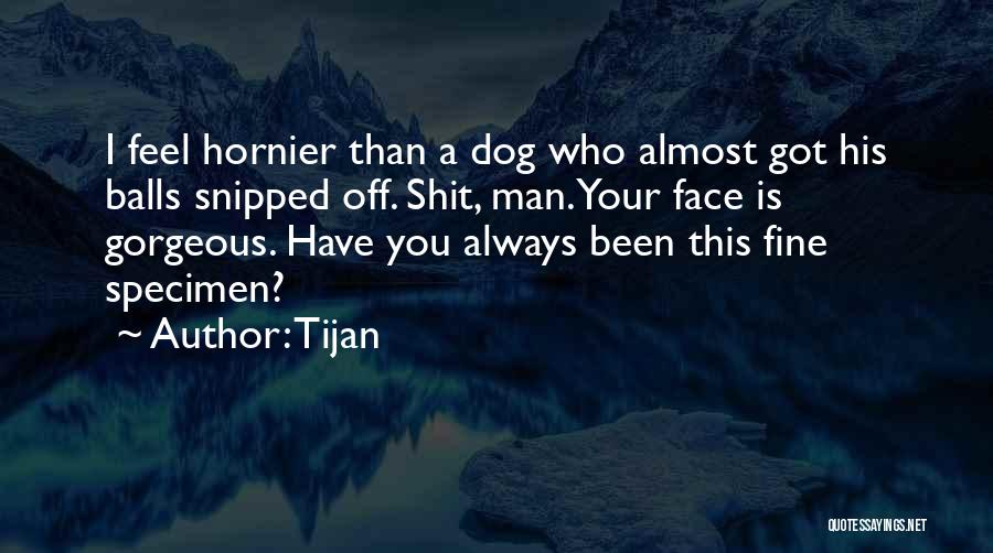 Tijan Quotes: I Feel Hornier Than A Dog Who Almost Got His Balls Snipped Off. Shit, Man. Your Face Is Gorgeous. Have