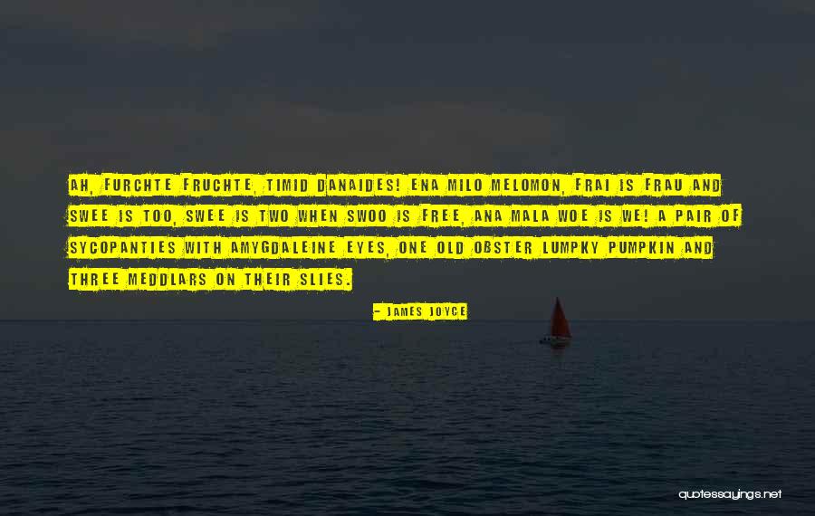 72764 Quotes By James Joyce