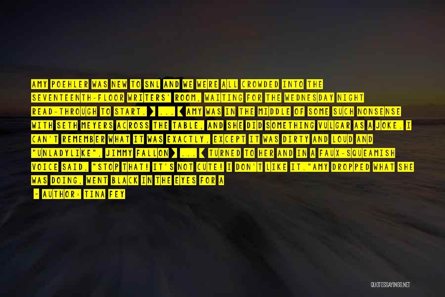 Tina Fey Quotes: Amy Poehler Was New To Snl And We Were All Crowded Into The Seventeenth-floor Writers' Room, Waiting For The Wednesday