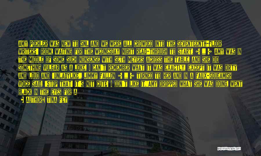 Tina Fey Quotes: Amy Poehler Was New To Snl And We Were All Crowded Into The Seventeenth-floor Writers' Room, Waiting For The Wednesday