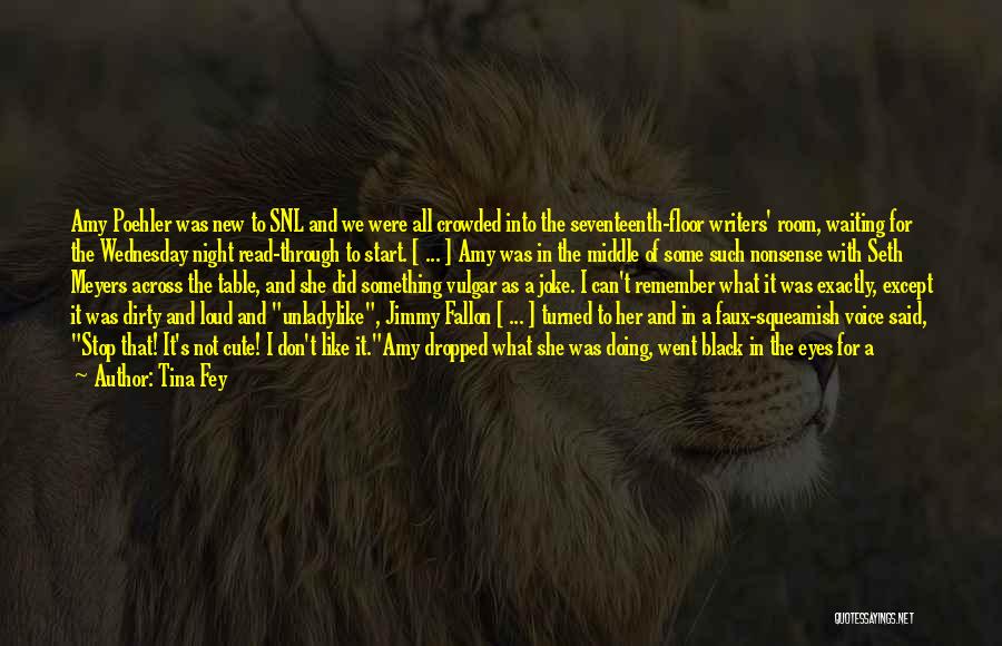 Tina Fey Quotes: Amy Poehler Was New To Snl And We Were All Crowded Into The Seventeenth-floor Writers' Room, Waiting For The Wednesday